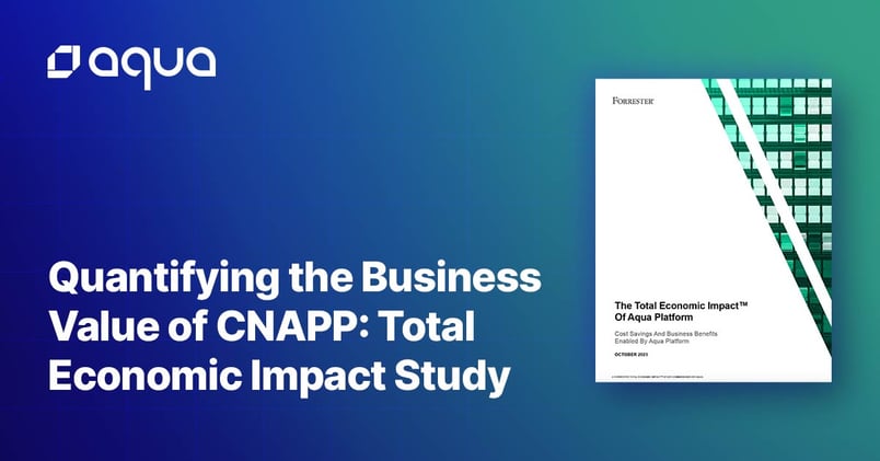 Quantifying the Business Value of CNAPP: Total Economic Impact Study