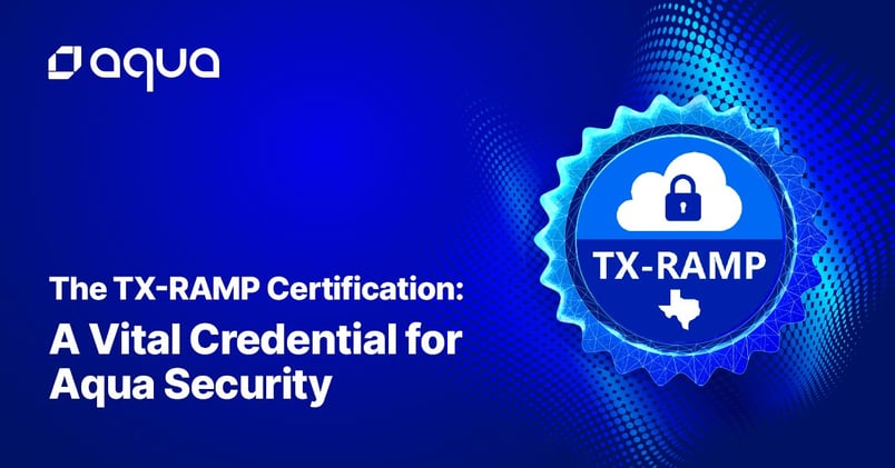 The TX-RAMP Certification: A Vital Credential for Aqua Security