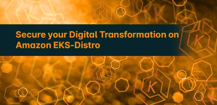 Secure your Digital Transformation on Amazon EKS-Distro with Aqua