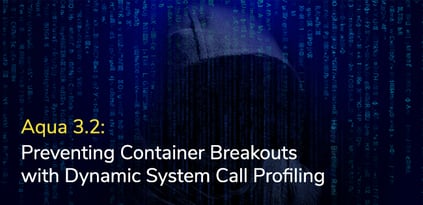 Aqua 3.2: Preventing Container Breakouts with Dynamic System Call Profiling