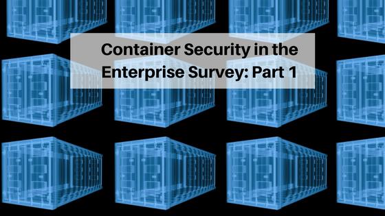 Survey: Detecting Vulnerabilities in Images and Managing Secrets