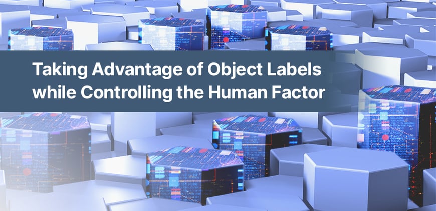 Taking Advantage of Object Labels while Controlling the Human Factor