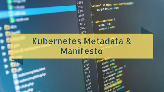 Kubernetes Metadata 